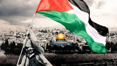 157 ألف شهيد سقطوا منذ بدء النكبة