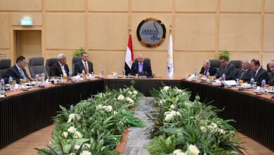 أرباح القابضة للنقل البحري والبري تقفز إلى 14.8 مليار جنيه
