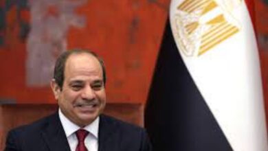 أزمة غزة واستقرار المنطقة .. ماذا ناقش رئيس وزراء الصين مع الرئيس السيسي؟