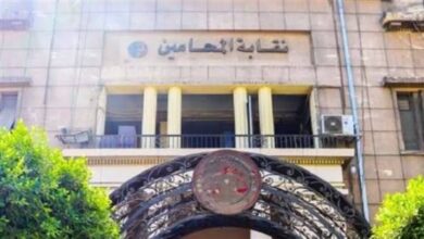 أسباب امتناع المحامين عن الحضور أمام بعض الدوائر القضائية والنيابات