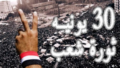 أمسية في حب مصر.. نقابة البيطريين تحتفل بذكرى 30 يونيو
