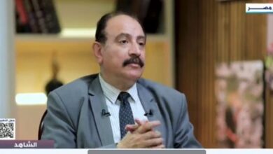 الدبلوماسية المصرية تلعب دورا هاما في الانفتاح على الدول الأفريقية