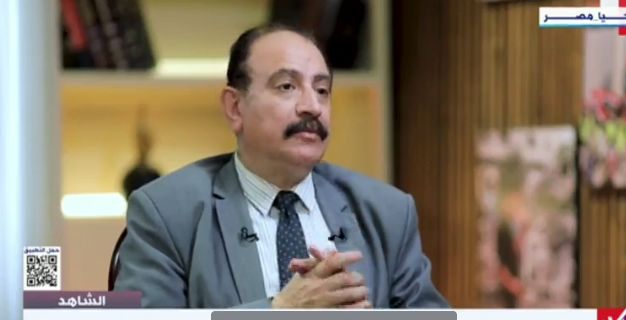 الدبلوماسية المصرية تلعب دورا هاما في الانفتاح على الدول الأفريقية