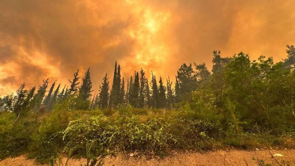 بسبب اقتراب الحرائق من الحدود.. سوريا تغلق معبرا مع تركيا