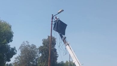 تغيير خطوط شبكة الإنارة المتهالكة بطريق الخادمية في كفر الشيخ.. صور