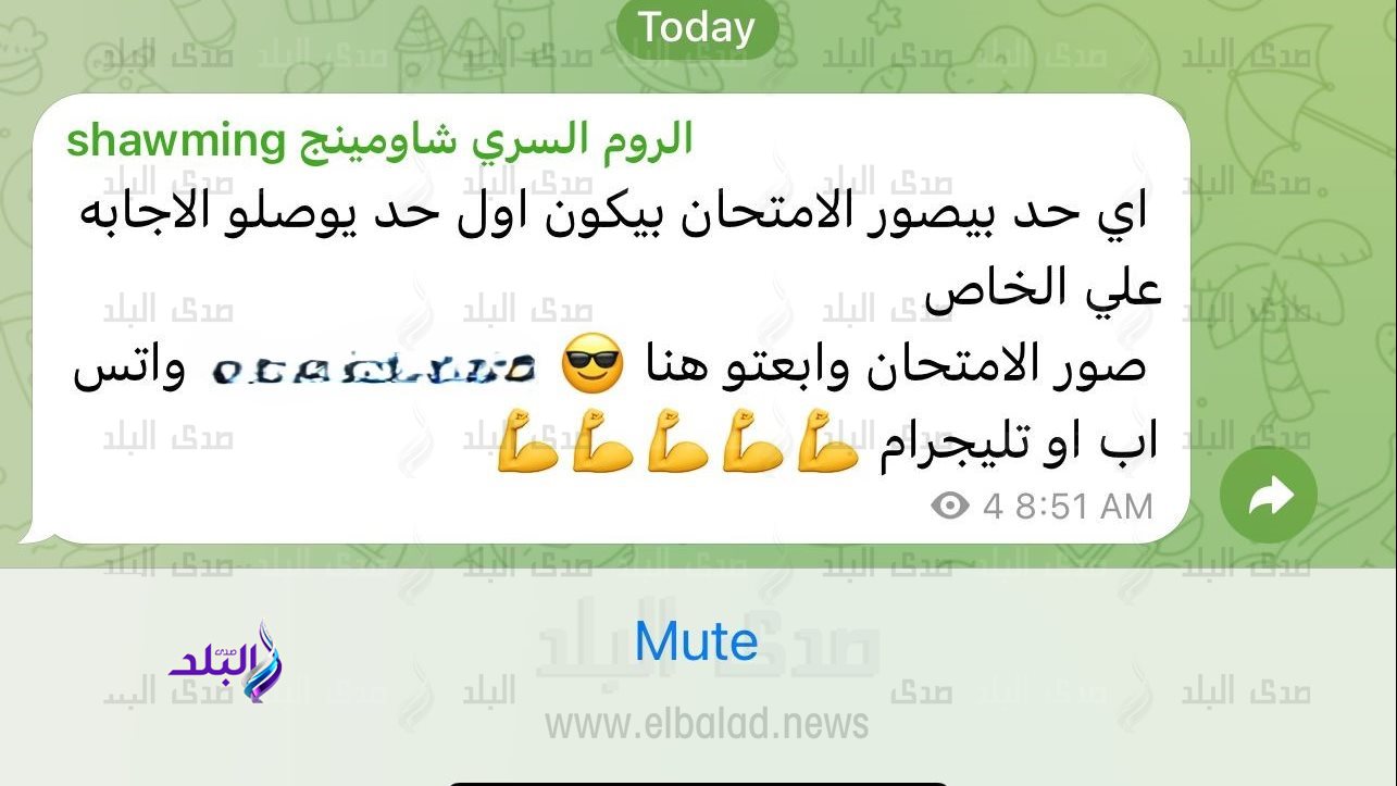 جروبات الغش تهدد نزاهة التعليم والثانوية العامة تحتاج إلى تأمين معلوماتي
