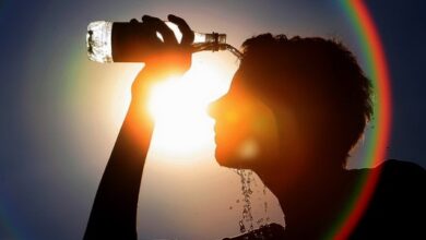 حالة الطقس غدا .. بيان من الأرصاد يحذر من الحر والشبورة