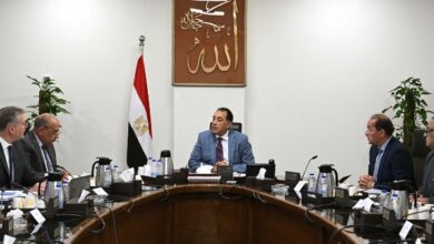 رئيس الوزراء يتابع إجراءات توفير الاعتمادات المالية لشراء وقود محطات الكهرباء