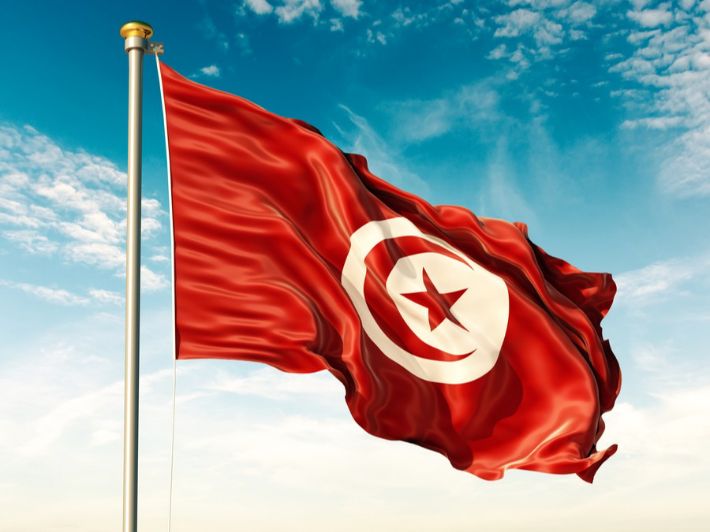 قرطاج يتألق مجددًا في دورته الـ59.. عودة كبار النجوم وتكريم لفلسطين