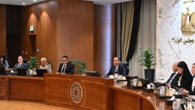 مجلس الوزراء يقرر إعفاء المهرجانات ذات الطابع القومي من ضريبة الملاهي