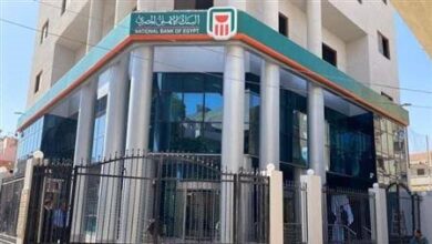 هتكسب وانت قاعد في البيت.. بعائد يومي يصل إلى 18.75% وشهادات استثمار حتى 28%